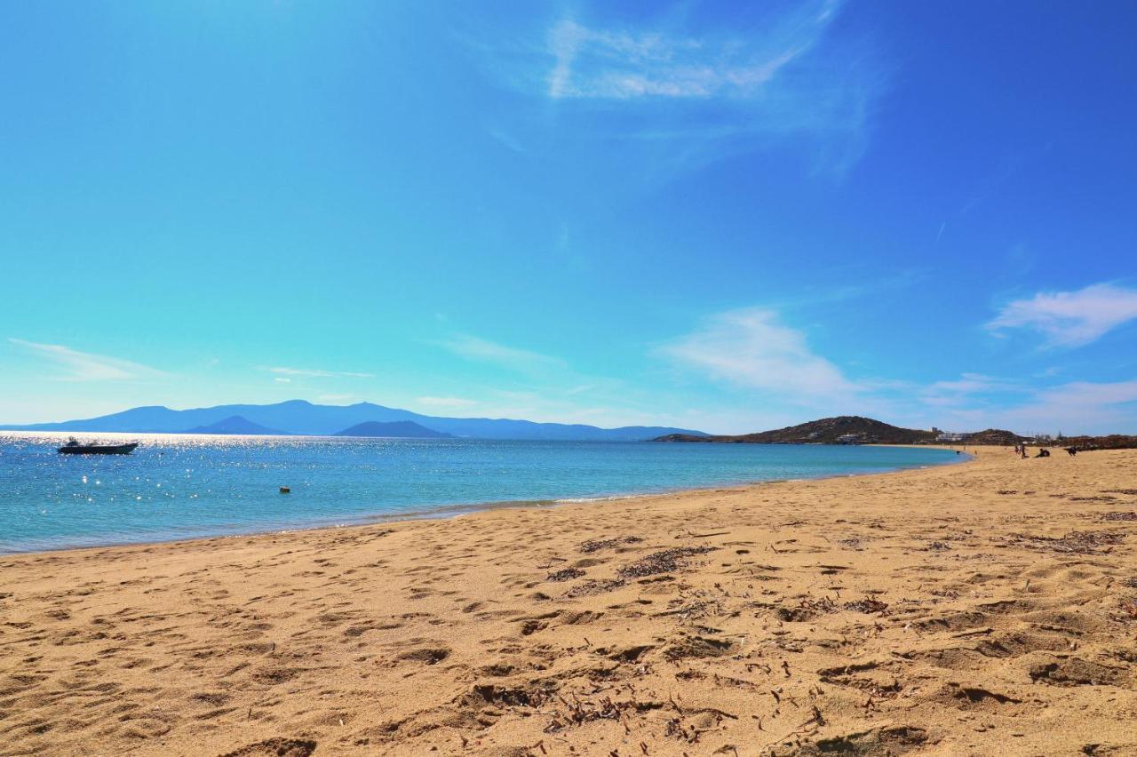Beach Apartment Thalia With Hot Tub And Sea View Agios Prokopios  Esterno foto