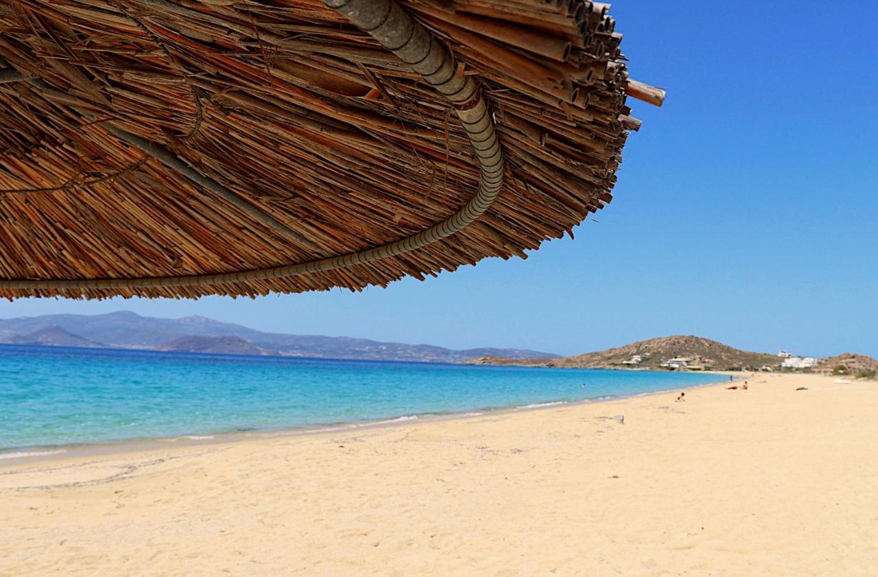 Beach Apartment Thalia With Hot Tub And Sea View Agios Prokopios  Esterno foto